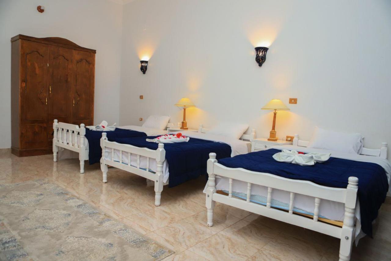 Luxor Oasis Guest House Buitenkant foto