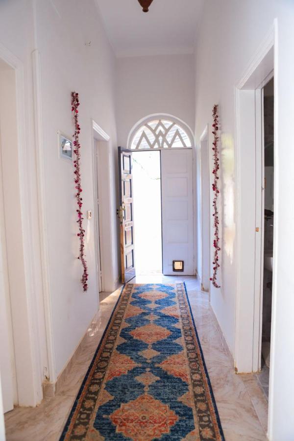 Luxor Oasis Guest House Buitenkant foto
