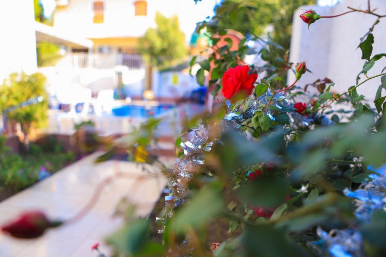 Luxor Oasis Guest House Buitenkant foto