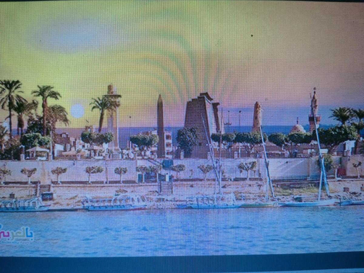 Luxor Oasis Guest House Buitenkant foto